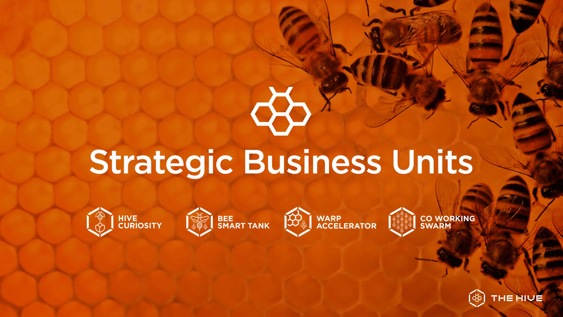 Sistema de unidades estratégicas de The Hive